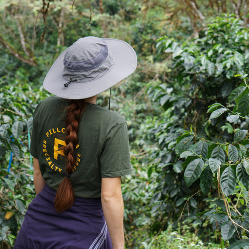 Pillcocaja - Ecuador - Anaerobic Pacamara