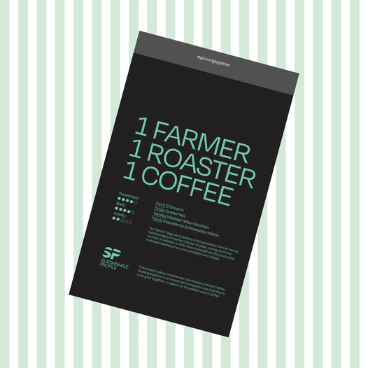 sustainable profile roasted coffee beans from guatemala, medium roast, april coffee roasters